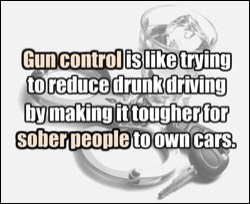 How Gun Control Works image