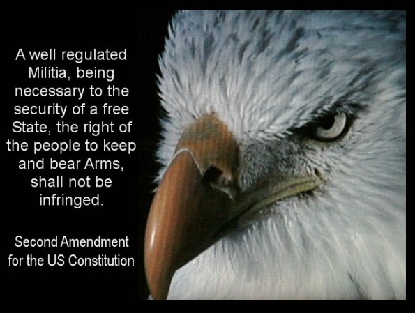 Second Amendment for the US Constitution